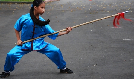 Wushu for Kids